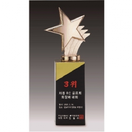 금속크리스탈 브론즈 별 트로피 133 #2