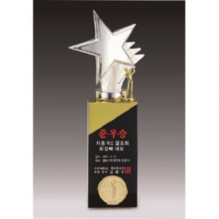 금속크리스탈 실버 별 골프 트로피 134 #6