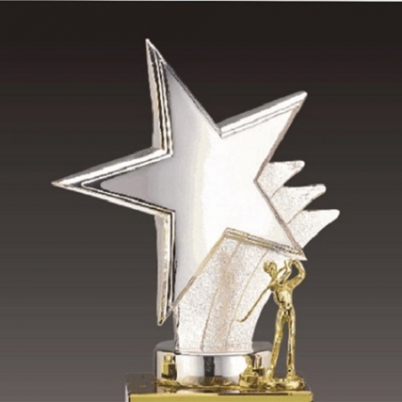 금속크리스탈 실버 별 골프 트로피 134 #3