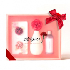 에스제이 디퓨저- 미스틱 썸데이 스페셜 세트 ( DMS-2101)