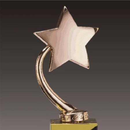금속크리스탈 브론즈 별 트로피 140 #3