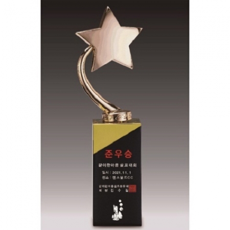 금속크리스탈 브론즈 별 트로피 140 #2