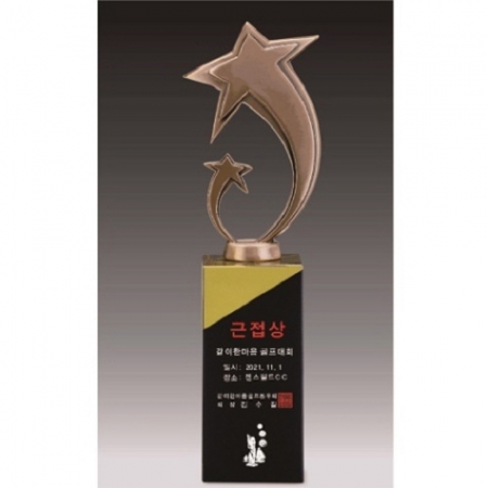 금속크리스탈 브론즈 별 트로피 139 #6