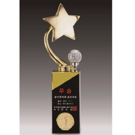 금속크리스탈 골드 별 골프트로피 142 #6