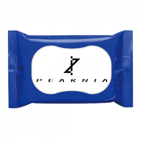 홍보 물티슈 제작 10매 (단색 1종) #2