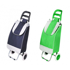 터틀 캐리어 가방 2