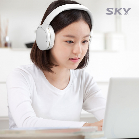 스카이핏 블루투스 5.4 무선 헤드셋 H2 #5