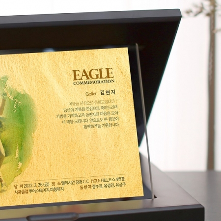 HM-007WC25 순금골프패 싱글 이글 홀인원기념패 #3