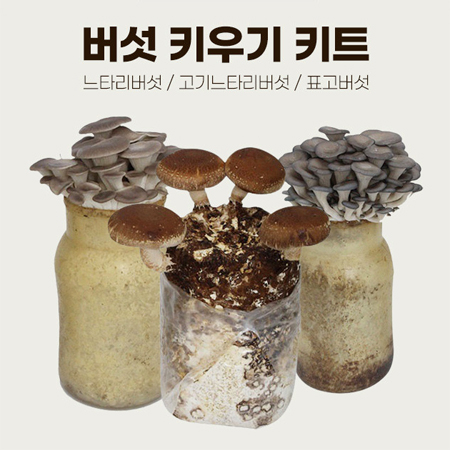 버섯 키우기 키트 #3