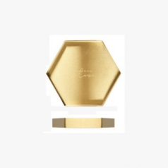 CD460 EL 골드 스테인리스 수납 트레이 (육각형)