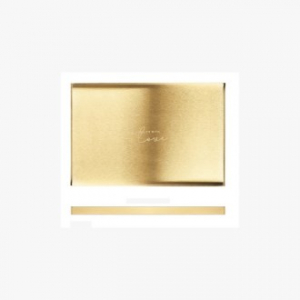 CD459 EL 골드 스테인리스 수납 트레이 (직사각형 대형)