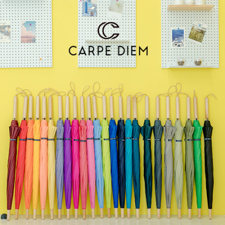 카르페디엠 3HHS004 장우산 #2