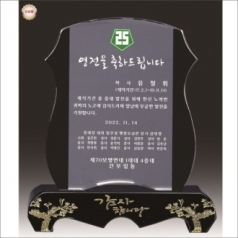 금문양 크리스탈 상패 4