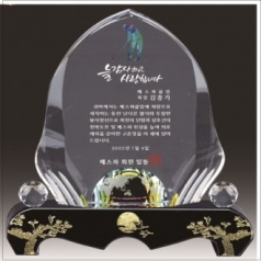 금문양 크리스탈 상패 1
