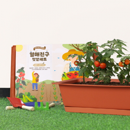 열매친구 키우기 세트 (화분 받침 포함) +(방울토마토, 오이, 당근) #2