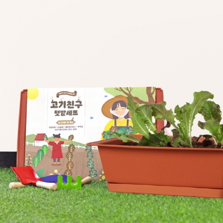 고기친구 키우기 세트 (화분 받침 포함) +(상추, 적겨자, 쑥갓) #2