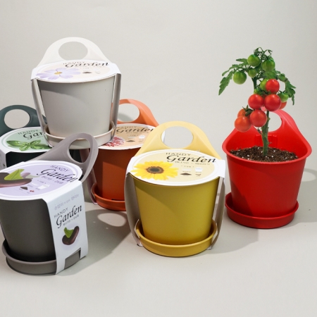 핸디가든-해바라기 #2