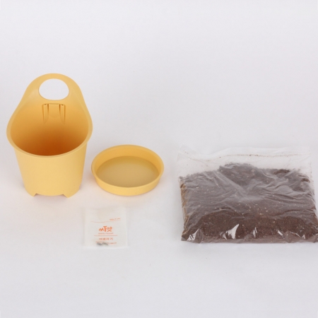 핸디가든-해바라기 #3