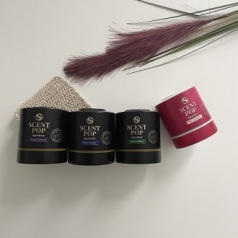 센트팝 천연 에센셜오일 방향제 / 시그니처라인