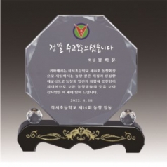 금문양 크리스탈 상패 21