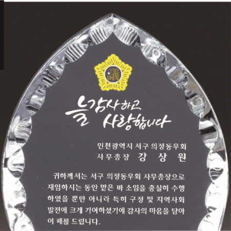 금문양 크리스탈 상패 17 #3