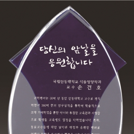 금문양 크리스탈 상패 16 #3