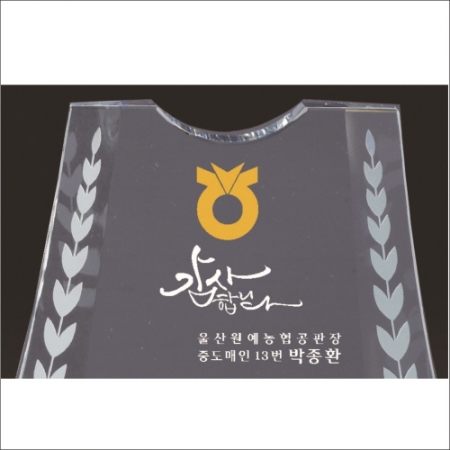 금문양 크리스탈 상패 14 #3