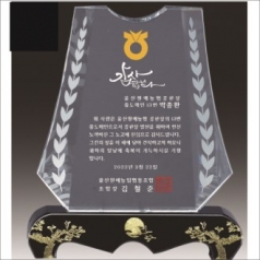 금문양 크리스탈 상패 14