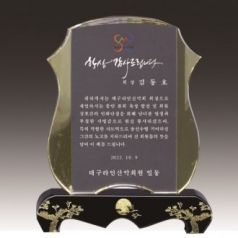 금문양 크리스탈 상패 6