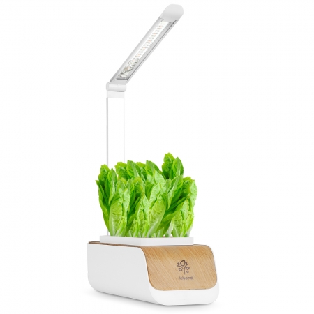 레벤트 가정용 스마트팜 식물재배기 PP-310 #6