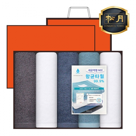 [송월타올] 향균 무지타올 40 5매 고급 세트 #2
