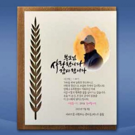 금장 실버상패 SD13) 358-1 #2