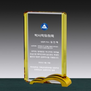 크리스탈 상패 SD13) 273-1