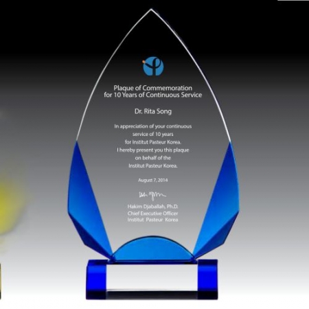 크리스탈 상패 SD13) 245-4 #2