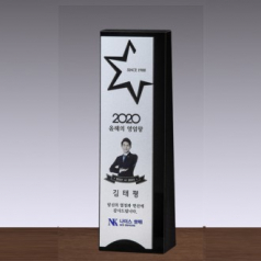 크리스탈 상패 SD14) 9-1은