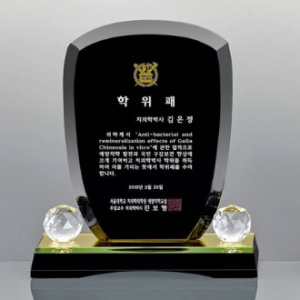 블랙 크리스탈 상패 14호 107-1