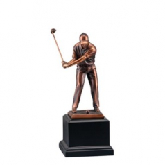 골프트로피 SD12) 41