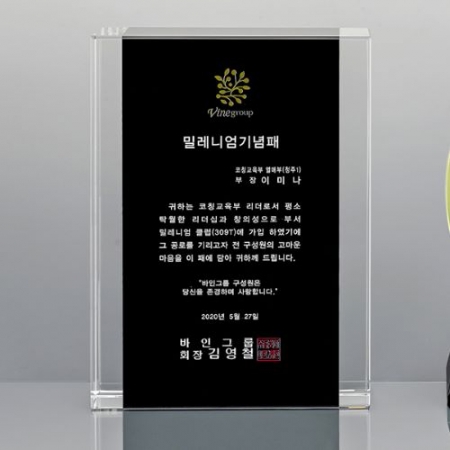 크리스탈 상패 SD13)310-9 #2