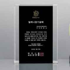 크리스탈 상패 SD13)310-9