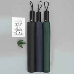 브룩스톤 2단 솔리드 자동 우산