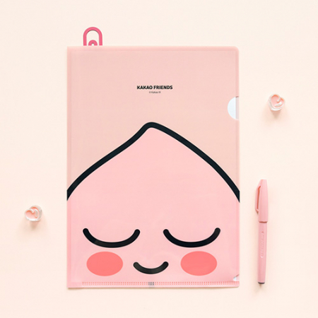 캐릭터 L 홀더 #5