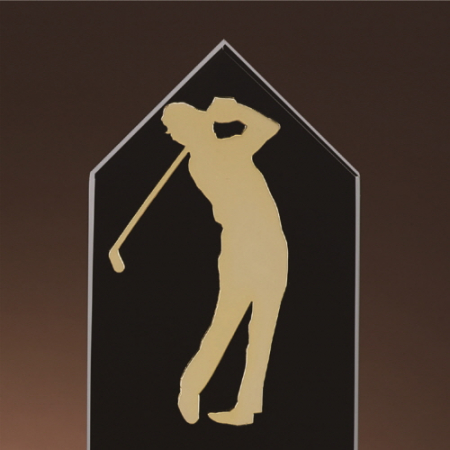 크리스탈 골프모션 트로피 194 #3