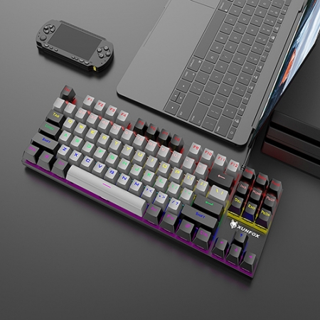 넥스원 XUNFOX 87키 LED 게이밍 유선 기계식 키보드 청축 K80 #2