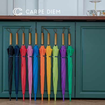 카르페디엠 3HHS021 장우산 55*12K #2