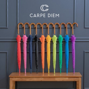 카르페디엠 3HHS020 장우산 55*12K