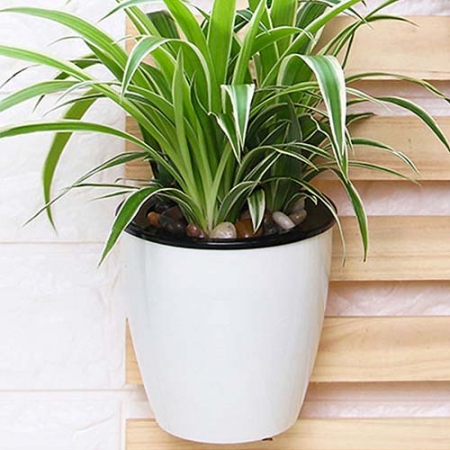 실내정원 심플 자동급수 벽걸이 화분 / 저면관수 원형화분 #2