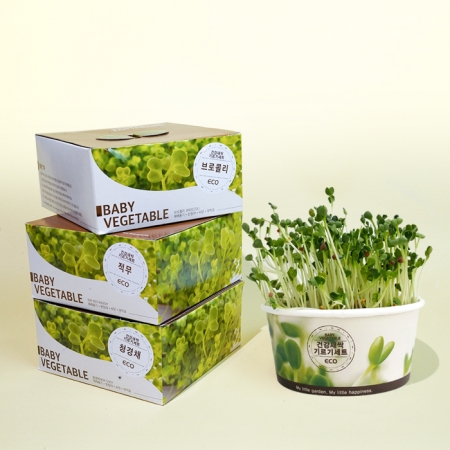 건강새싹 기르기 세트-청경채, 브로콜리, 적무 #3