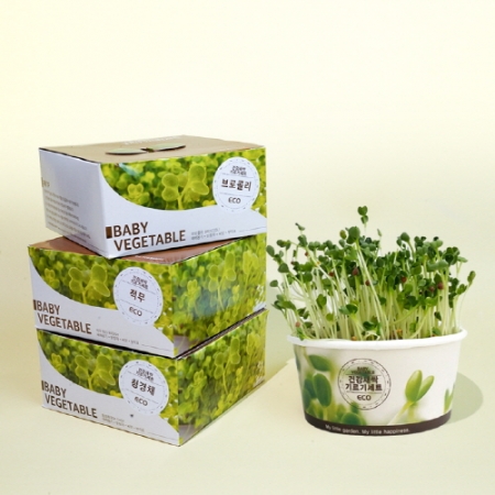 건강새싹 기르기 세트-청경채, 브로콜리, 적무 #2