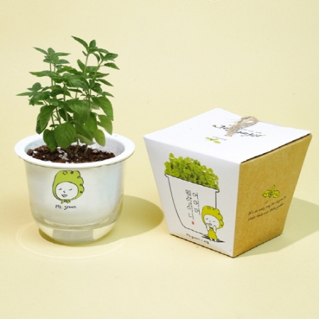 그린패밀리 식물키트-허브 바질 #2