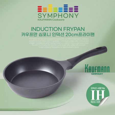 독일 카우프만 심포니 인덕션 20CM 프라이팬 #4